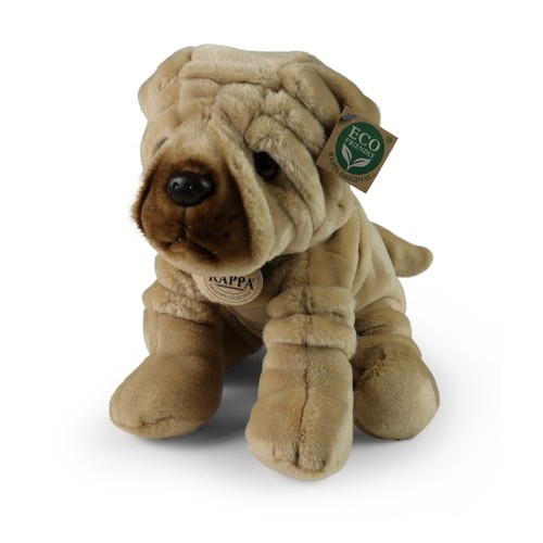 Shar pei faltenhund - faltenhund, cm