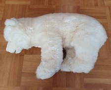 Kuscheliger Eisbär von Teddy