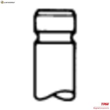 6x EINLASSVENTIL 2282 FÜR F