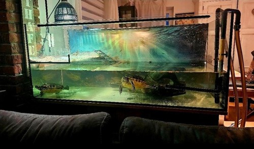 Aquarium komplettset 150 - (150, 50