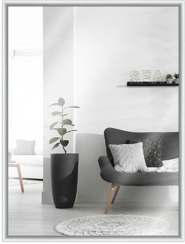 Mendeframes wandspiegel h270 - wandspiegel,
