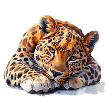 Car Sticker 18x18 cm | Leopard