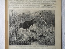 RK/IZ 1892 Zeitungsdruck 235 Maler Ernst Otto