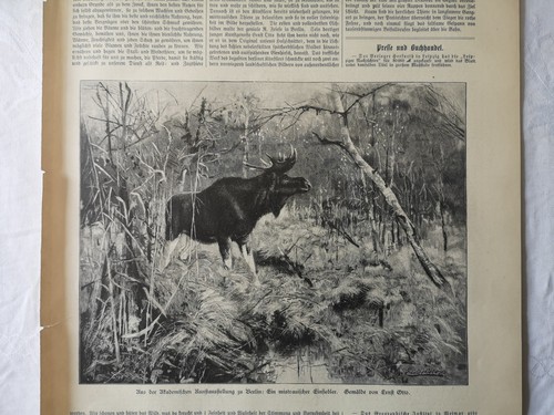 1892 zeitungsdruck 235 - rk/iz,