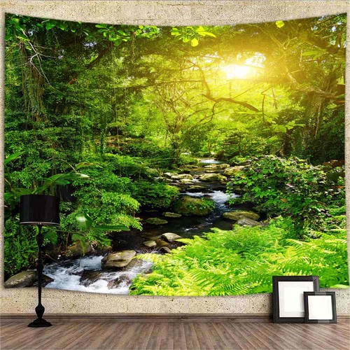 Sonnenlicht wald bach natur - wald,,