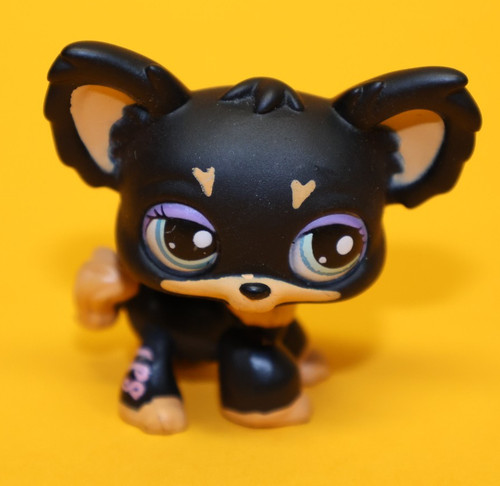 Hasbro littlest pet - pet, hund