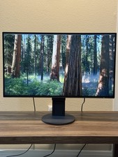 EIZO FlexScan EV3285 32" 4K