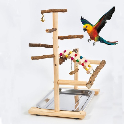Wellensittich spielplatz und - wellensittich-spielplatz,
