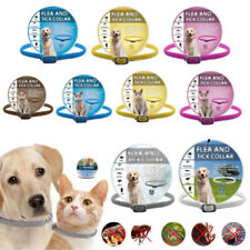 Für Haustier Katzen Hund