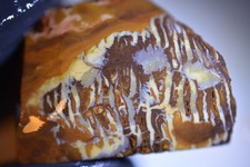 124ct 40x30x20Koroit Nut Boulder Matrix Opal Rohstein rubbed/sliced Australi Gem