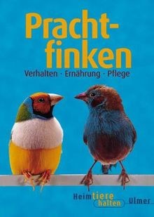 Prachtfinken heimtiere halten - heimtiere,