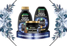 Garnier Balancing Hair Care