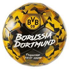 Borussia Dortmund Fußball -