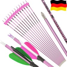12X 31 Zoll Carbonpfeile