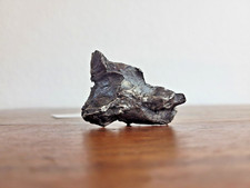 Sikhote-Alin Meteorit 66g