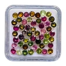 50 Stück Natürlich Multi