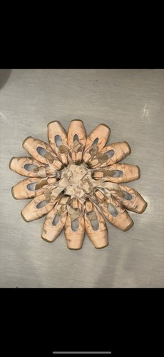 Profi spitzenschuhe gebraucht - profi,