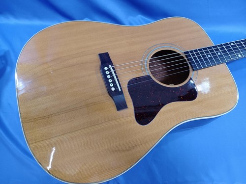 Gibson akustikgitarre gospel - akustikgitarre,