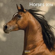 Horses 2014