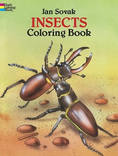 Jan sovak insects coloring - jan,
