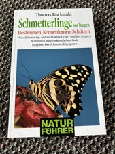 Schmetterlinge und Raupen