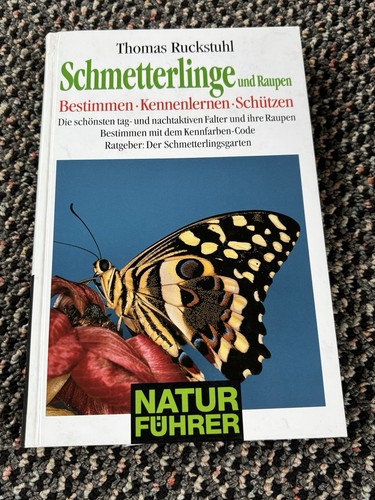 Schmetterlinge und raupen - schmetterlinge,