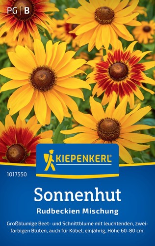 Sonnenhut rudbeckien - rudbeckien,