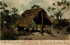 A Mexican Thatched House