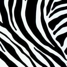Klebefolie möbelfolie zebra - möbelfolie,