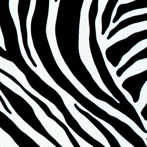 Klebefolie möbelfolie zebra - klebefolie,
