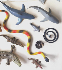 Auswahl meerestier reptilie - meerestier,