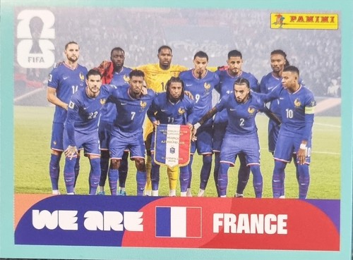 Panini fifa world - panini, wm