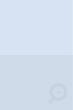 CINC MICOS PETITS (LLIBRE