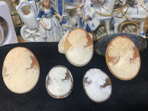 Kamee muschel set