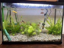 60L Fischbecken / Pumpe /