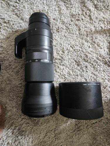 Sigma 150 600mm contemporary - sigma, 150-600mm