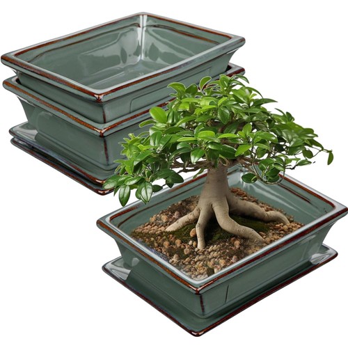 Bonsai keramiktopf 2er set - keramiktopf, 2er-set