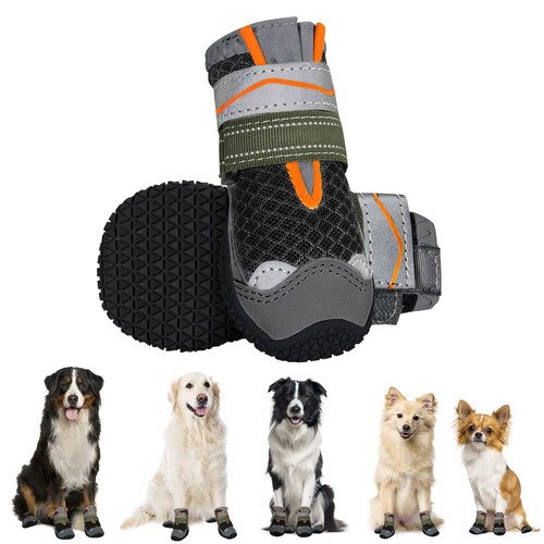 Hundeschuhe pfotenschutz - hundeschuhe,