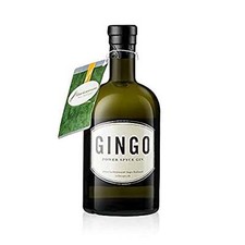 Gingo Power Spyce Gin 0,5l