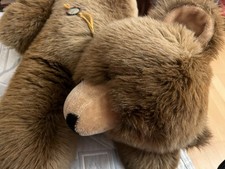 Teddy Bär von Hermann