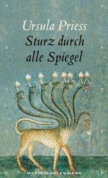 Sturz durch alle spiegel - durch, spiegel: