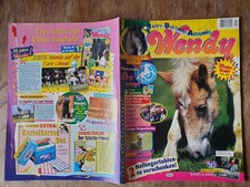 Wendy Mädchen Pferde Comic