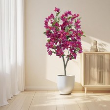 120cm Bougainvillea