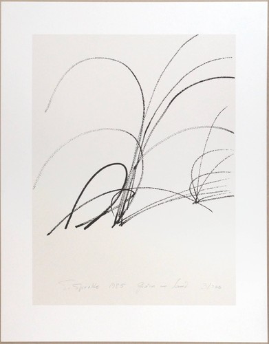 Serigraphie von siegward - serigraphie,