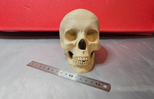 Deko Totenkopf Skulptur 3d