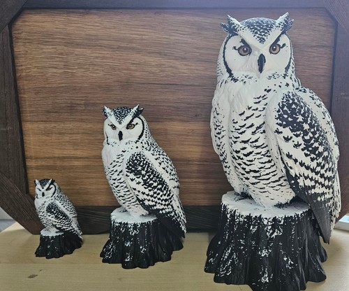 Arktische wächter eule - arktische,