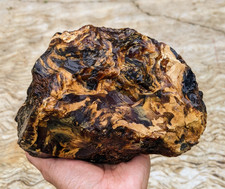 1,4 Kg seltener indonesischer