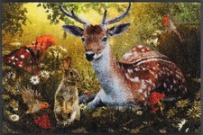 Fußmatte KLEEN-TEX  wash +