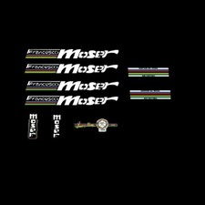 Francesco Moser bicycle