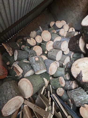 Brennholz kaminholz stammholz - kaminholz,